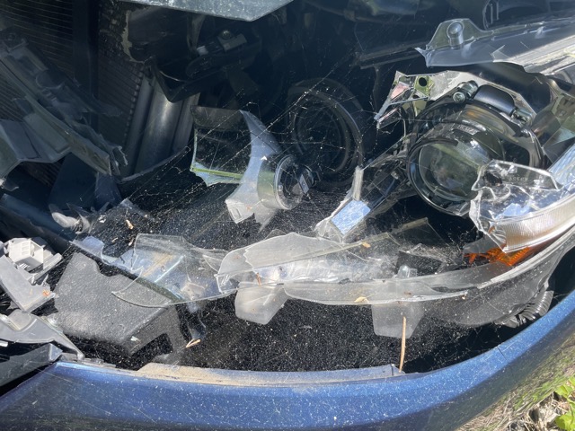In only one week on the junk lot, some opportunistic spider made a whole cobweb in the space where my headlight used to be.