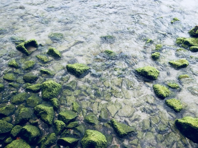 Moss-covered rocks near a seawall. (2014, color graded)