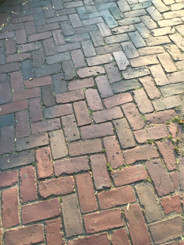 A brick sidewalk somewhere in Boston, MA. (2016)