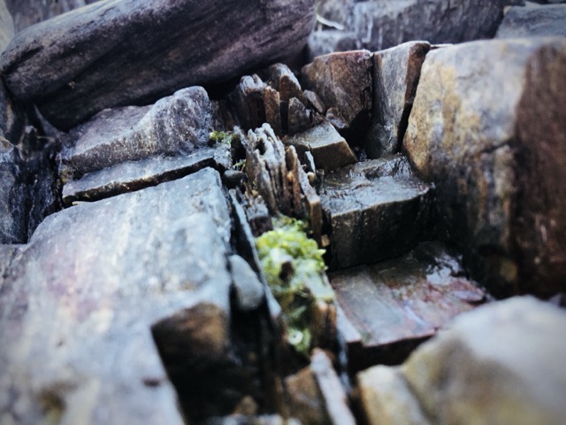 Crystalline shapes and cleavage-formed sheets found in bedrock near the Maine seashore. (2018, color graded)