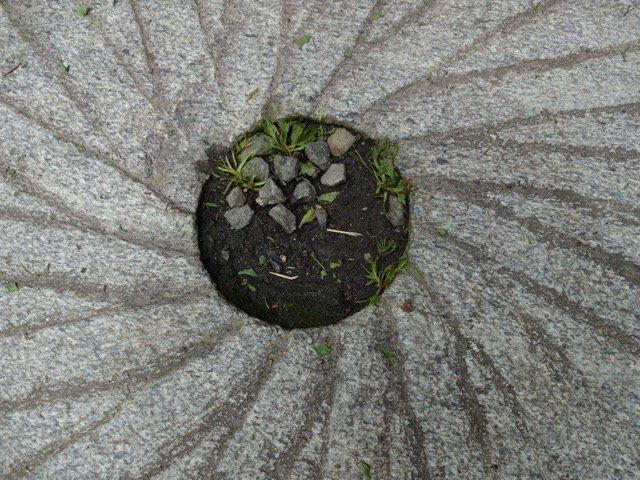 An old millstone, on display in the Smoky Mountains, TN. (2015)