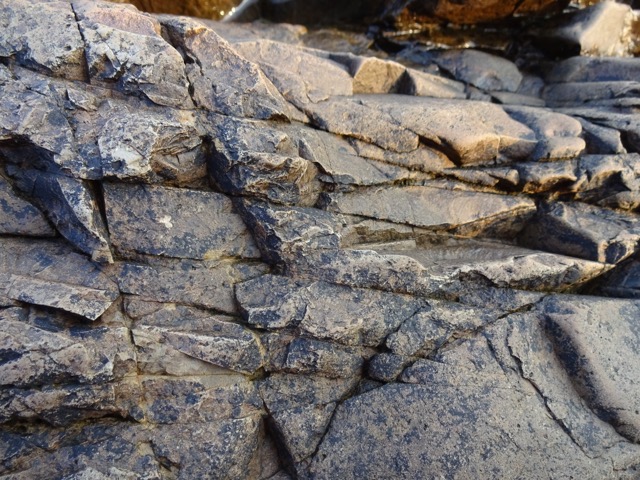 Interesting shapes in exposed bedrock near the water. (2015)