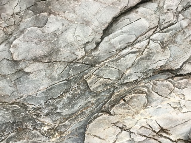 A completely different texture on a different part of the shore. (2016)