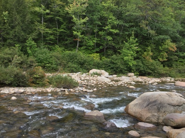 Rapids on the appropriately-named Swift River in NH. (2017)