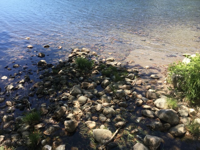 Rocks on the shore in Acadia National Park, ME. (2020)